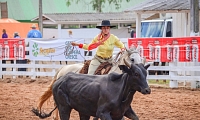 Provas Campeiras abrem atividades do X Rodeio Internacional de Soledade Provas Campeiras abrem atividades do X Rodeio Internacional de Soledade